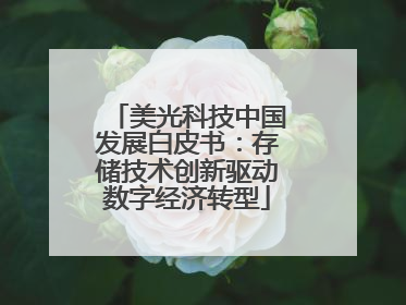 美光科技中国发展白皮书：存储技术创新驱动数字经济转型