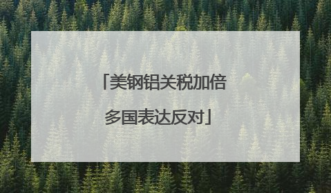 美钢铝关税加倍 多国表达反对