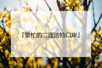 繁忙的二连浩特口岸