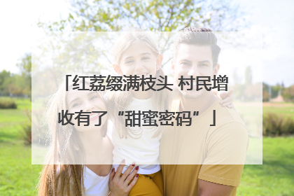 红荔缀满枝头 村民增收有了“甜蜜密码”