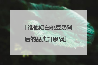 维他奶白桃豆奶背后的品类升级战