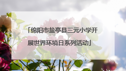 绵阳市盐亭县三元小学开展世界环境日系列活动