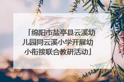 绵阳市盐亭县云溪幼儿园同云溪小学开展幼小衔接联合教研活动