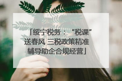 绥宁税务：“税课”送春风 三税政策精准辅导助企合规经营