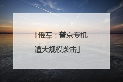 俄军：普京专机遭大规模袭击