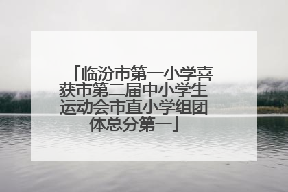 临汾市第一小学喜获市第二届中小学生运动会市直小学组团体总分第一