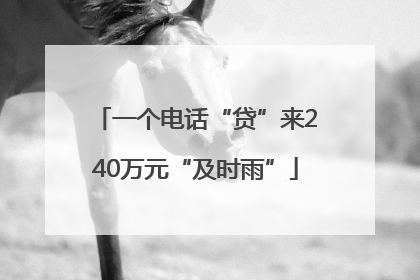 一个电话“贷”来240万元“及时雨”