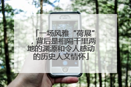 一场风雅“荷展”，背后是相隔千里两地的渊源和令人感动的历史人文情怀
