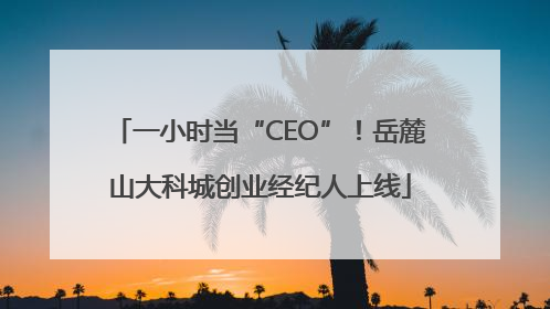 一小时当“CEO”！岳麓山大科城创业经纪人上线