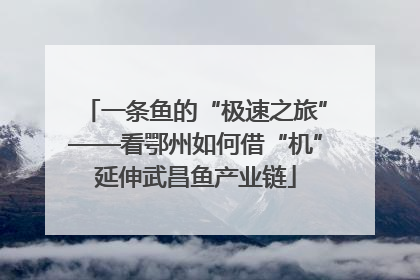 一条鱼的“极速之旅”——看鄂州如何借“机”延伸武昌鱼产业链