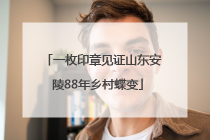 一枚印章见证山东安陵88年乡村蝶变