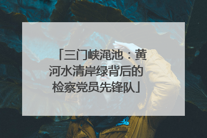三门峡渑池：黄河水清岸绿背后的检察党员先锋队