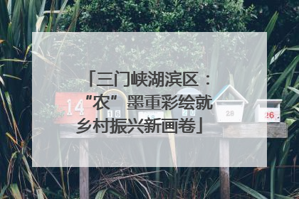 三门峡湖滨区：“农”墨重彩绘就乡村振兴新画卷