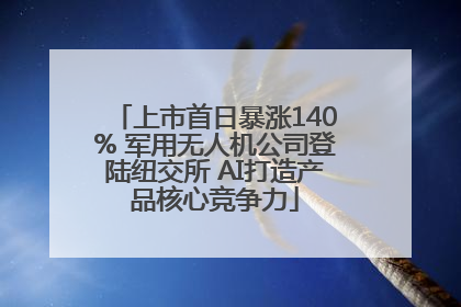 上市首日暴涨140% 军用无人机公司登陆纽交所 AI打造产品核心竞争力