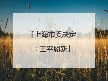 上海市委决定：王平履新