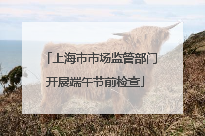 上海市市场监管部门开展端午节前检查