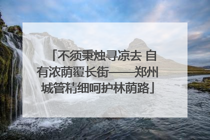 不须秉烛寻凉去 自有浓荫覆长街——郑州城管精细呵护林荫路
