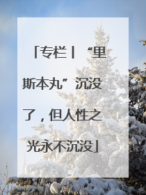 专栏丨“里斯本丸”沉没了，但人性之光永不沉没