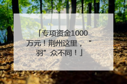 专项资金1000万元！荆州这里，“羽”众不同！