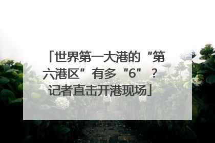 世界第一大港的“第六港区”有多“6”？记者直击开港现场