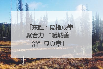东胜：攥指成拳聚合力 “暖城善治”显真章
