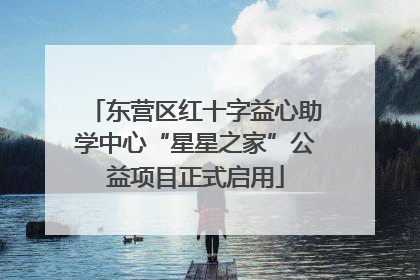 东营区红十字益心助学中心“星星之家”公益项目正式启用