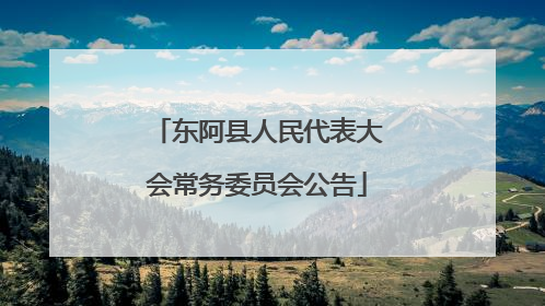 东阿县人民代表大会常务委员会公告
