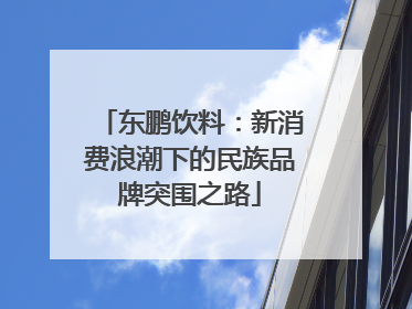 东鹏饮料：新消费浪潮下的民族品牌突围之路