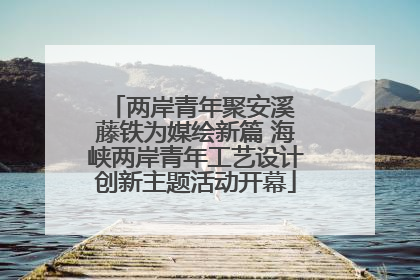 两岸青年聚安溪 藤铁为媒绘新篇 海峡两岸青年工艺设计创新主题活动开幕