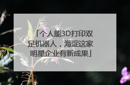个人能3D打印双足机器人，海淀这家明星企业有新成果