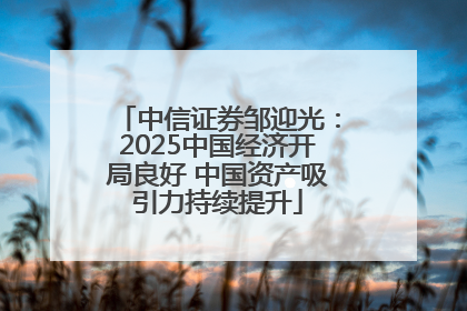 中信证券邹迎光：2025中国经济开局良好 中国资产吸引力持续提升