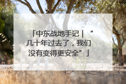 中东战地手记｜“几十年过去了，我们没有变得更安全”