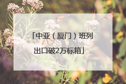 中亚（厦门）班列出口破2万标箱