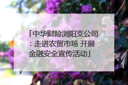 中华财险浏阳支公司：走进农贸市场 开展金融安全宣传活动