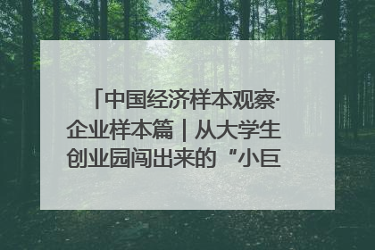 中国经济样本观察·企业样本篇｜从大学生创业园闯出来的“小巨人”——卡诺普机器人的逐梦历程