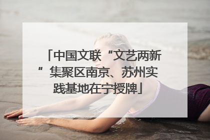 中国文联“文艺两新”集聚区南京、苏州实践基地在宁授牌