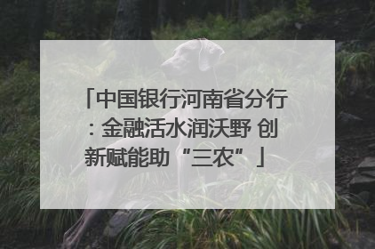 中国银行河南省分行：金融活水润沃野 创新赋能助“三农”