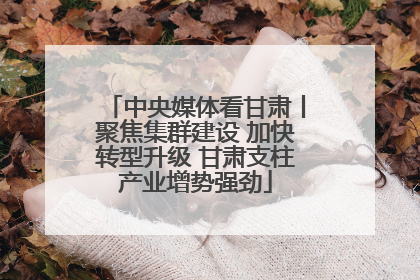 中央媒体看甘肃丨聚焦集群建设 加快转型升级 甘肃支柱产业增势强劲