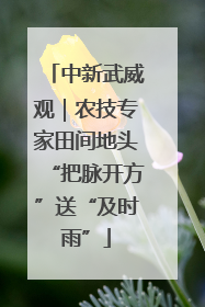 中新武威观｜农技专家田间地头“把脉开方”送“及时雨”
