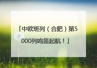中欧班列（合肥）第5000列鸣笛起航！