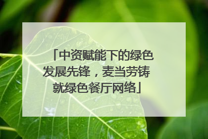 中资赋能下的绿色发展先锋，麦当劳铸就绿色餐厅网络