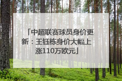 中超联赛球员身价更新：王钰栋身价大幅上涨110万欧元