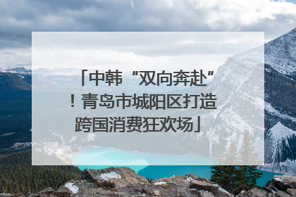 中韩“双向奔赴”！青岛市城阳区打造跨国消费狂欢场