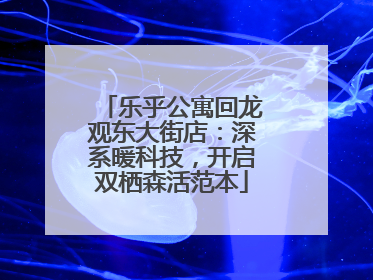 乐乎公寓回龙观东大街店：深系暖科技，开启双栖森活范本