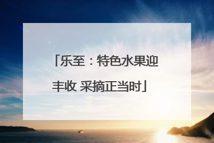 乐至：特色水果迎丰收 采摘正当时