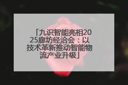 九识智能亮相2025廊坊经洽会：以技术革新推动智能物流产业升级