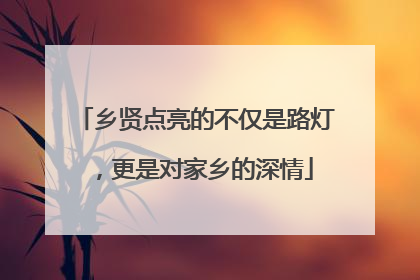 乡贤点亮的不仅是路灯，更是对家乡的深情