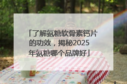 了解氨糖软骨素钙片的功效，揭秘2025年氨糖哪个品牌好