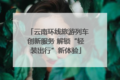 云南环线旅游列车创新服务 解锁“轻装出行”新体验