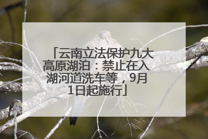 云南立法保护九大高原湖泊：禁止在入湖河道洗车等，9月1日起施行